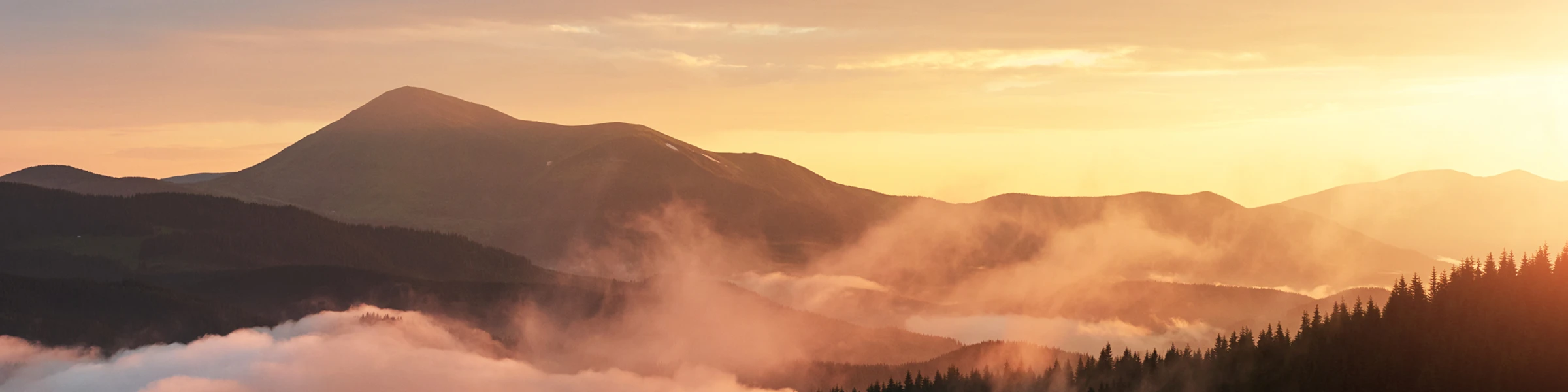 Banner image of AndreasPrautzsch