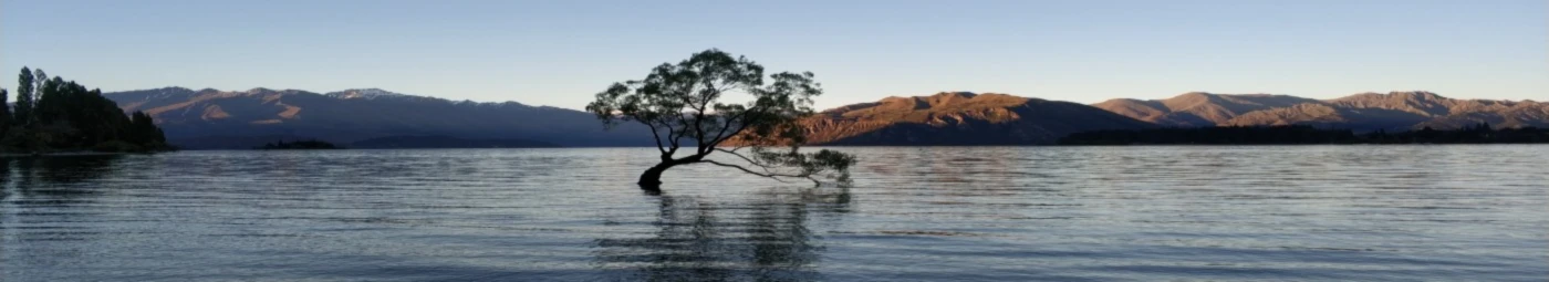 Bannerbild von Seabird