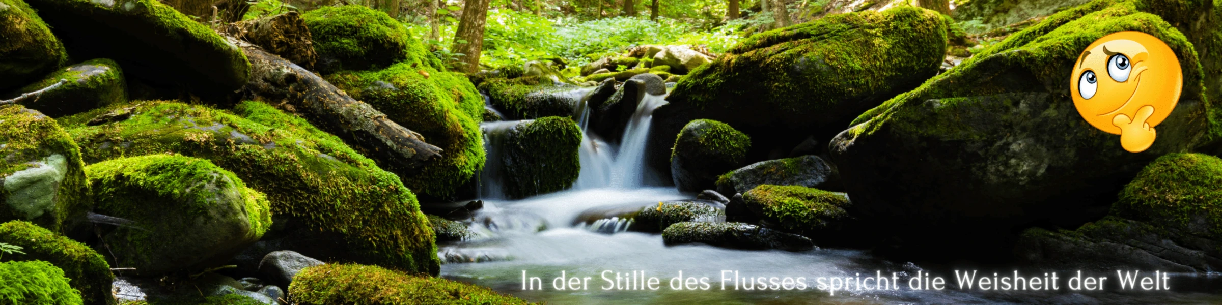 Banner image of Eugen-