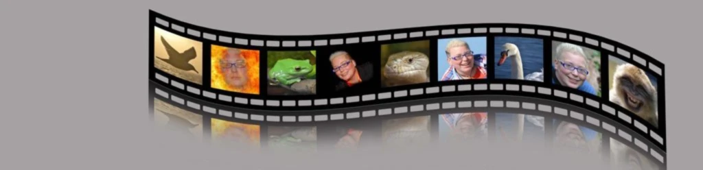 Banner image of Mein Marktplatz