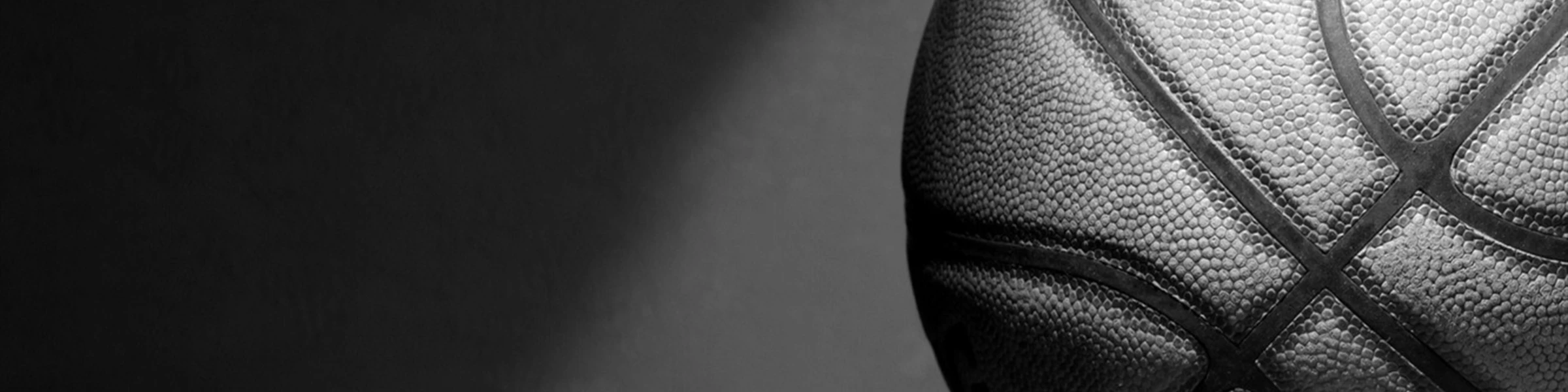 Banner image of AYA Desiign