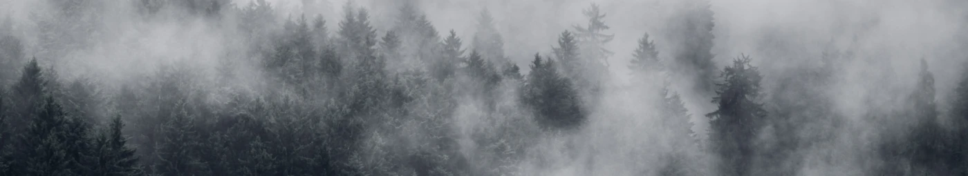 Banner image of ChrisXe