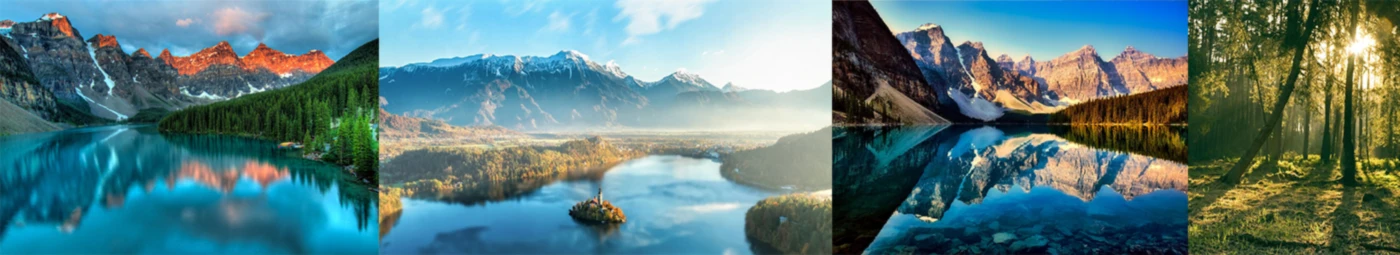 Banner image of 117605410