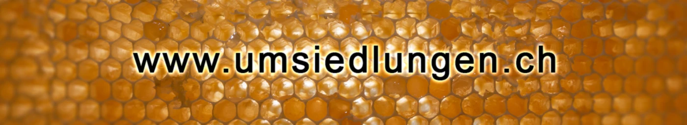 Banner image of umsiedlungen2019