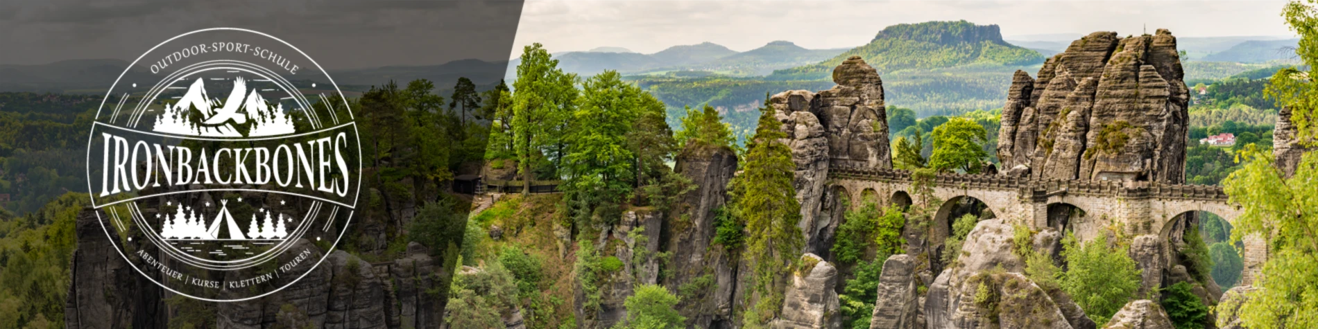 Banner image of Ironbackbones