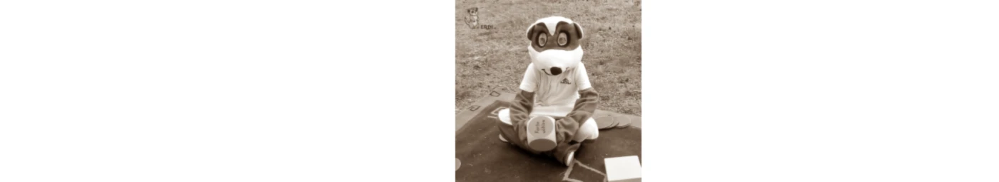 Bannerbild von rlange