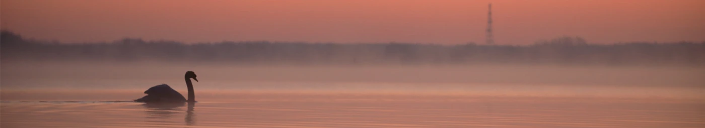 Bannerbild von HGWild