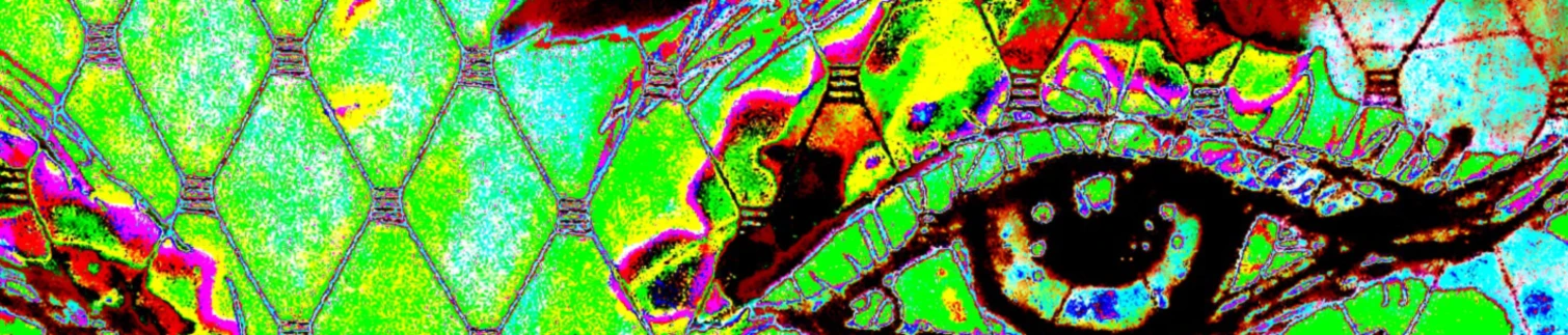 Bannerbild von MW Art