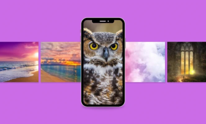 Bannerbild von Naturheilpraxis Doris buteo sitara e.U