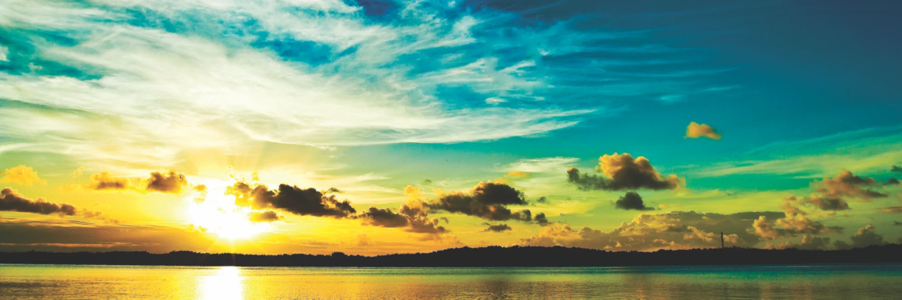 Banner image of SmartShop