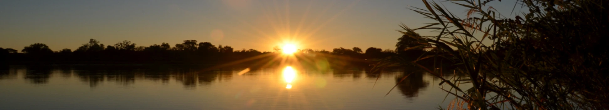 Banner image of 117727824