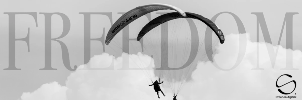 Bannerbild von Sarah Mallier