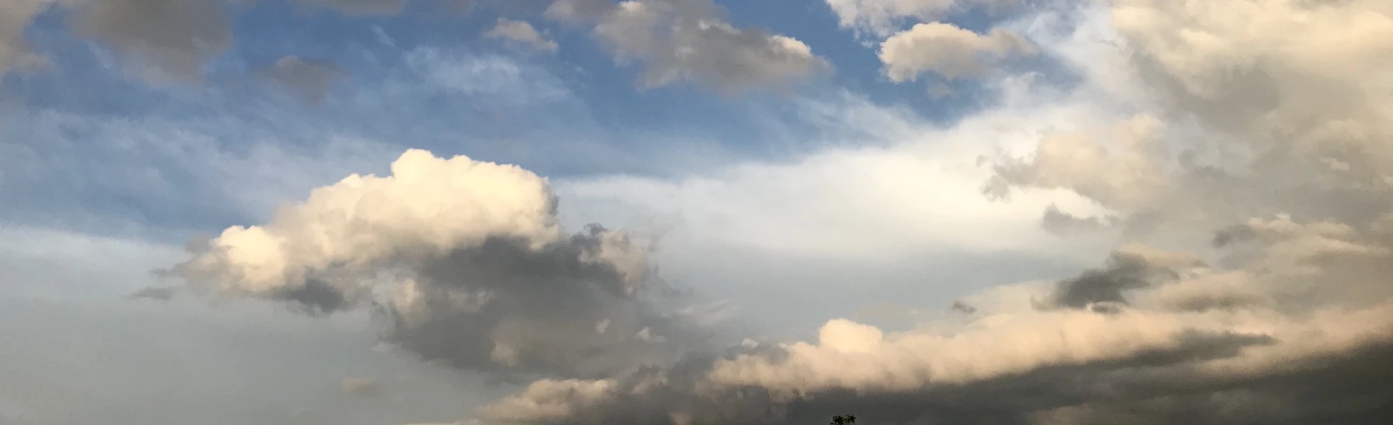 Banner image of stimmwolken