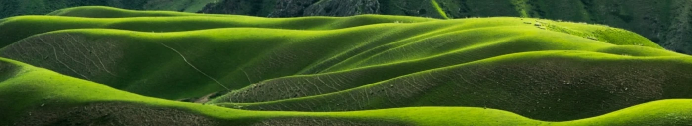 Banner image of FamilieTiede