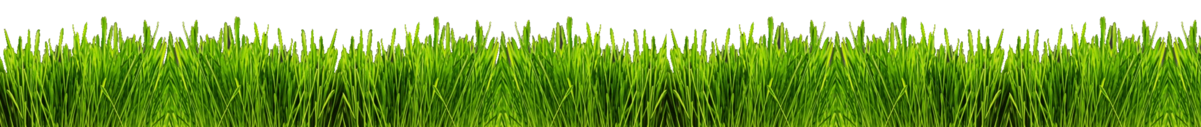 Banner image of nb-design