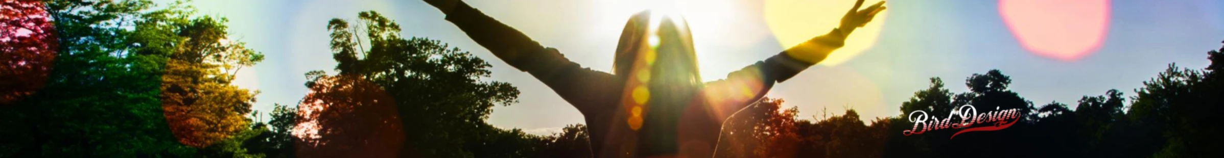 Banner image of birdesign