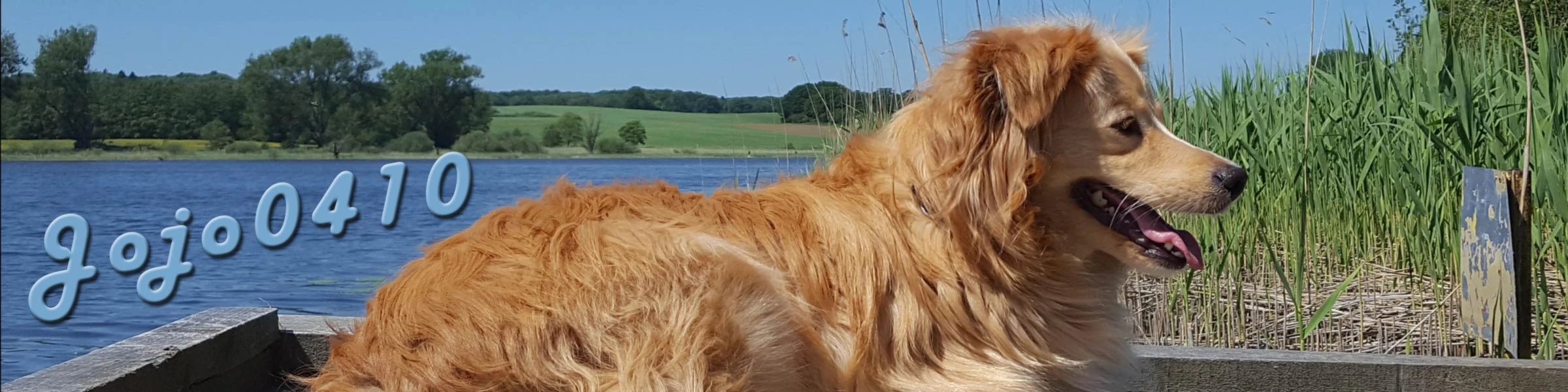 Banner image of Jojo0410