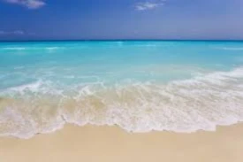 Banner image of Saman88