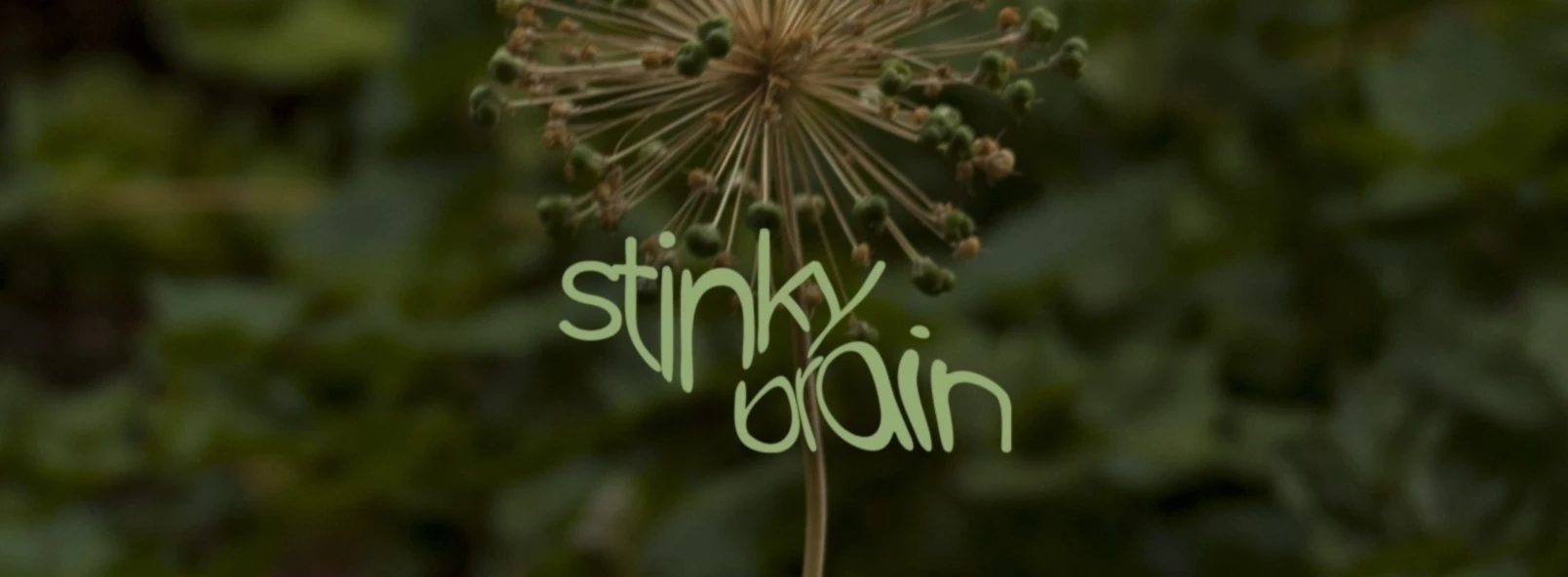 Banner image of StinkyBrain