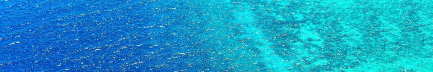 Bannerbild von 117840037