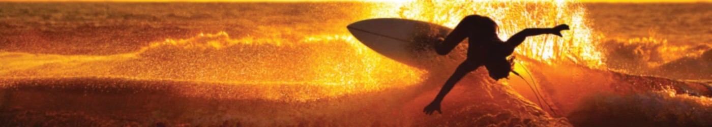 Banner image of surfeur californien