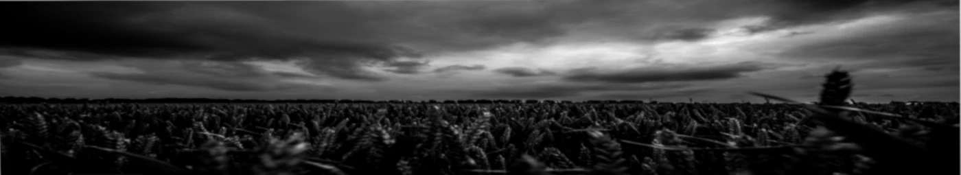 Banner image of Integral-Design