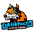 Taktikfuchs Merch