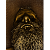Descura