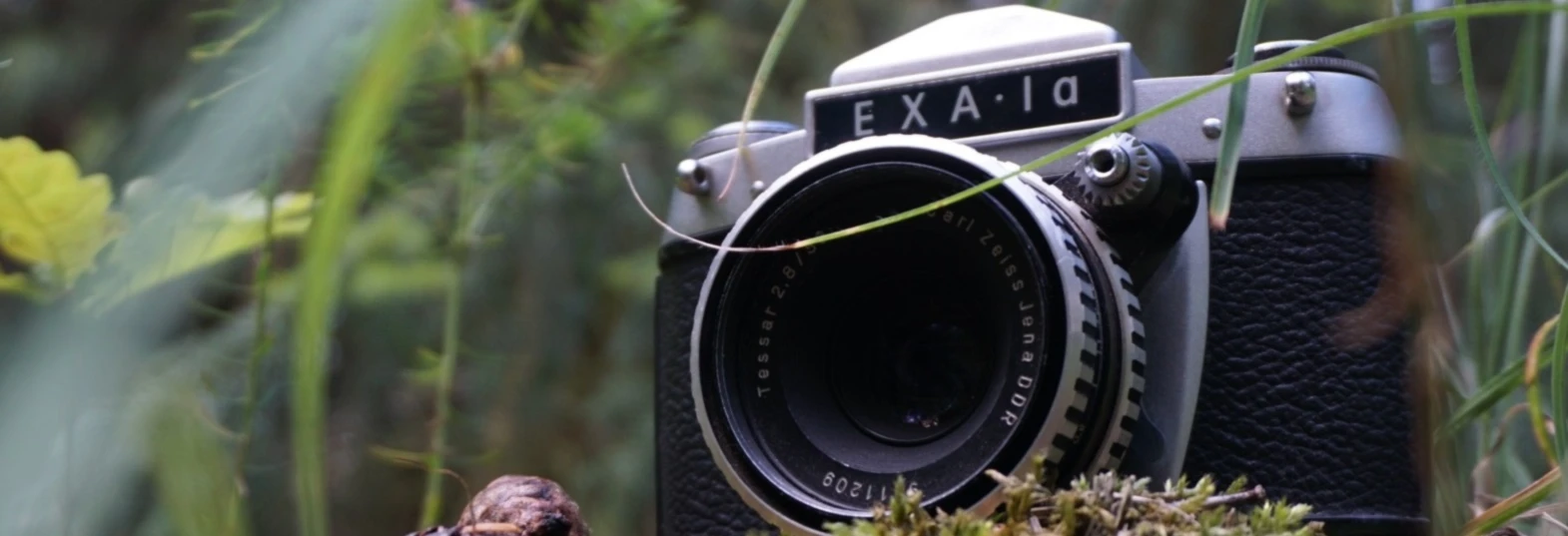 Banner image of Lauramy