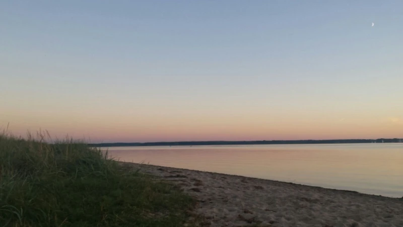 Banner image of Paradize72