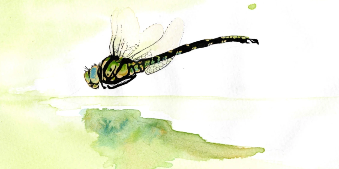 Banner image of ma.tthias