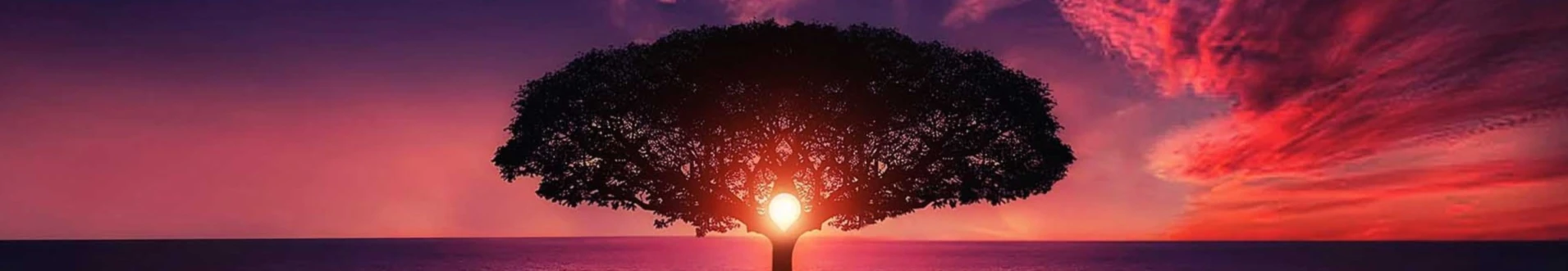 Banner image of Magnalis Ludus