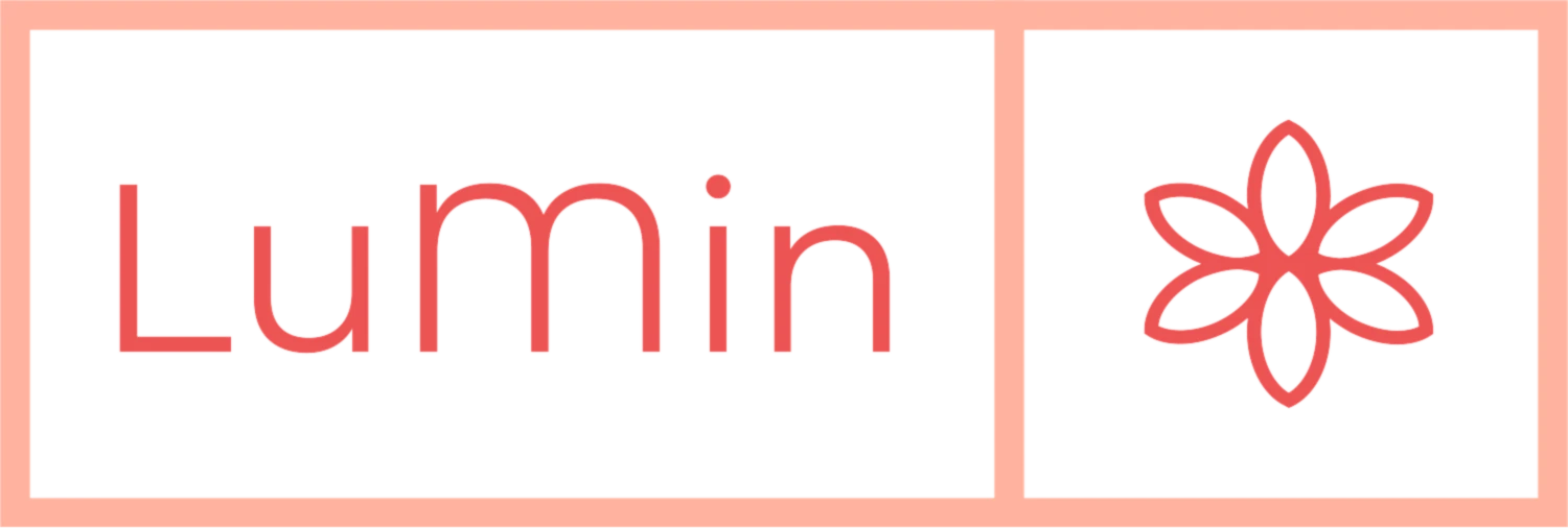 Bannière de LuMin