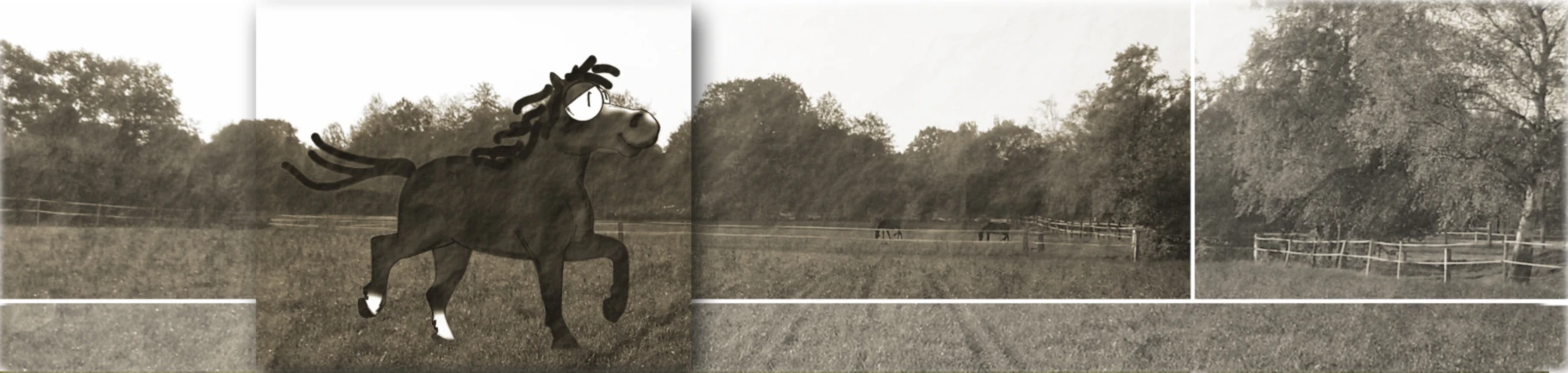 Bannerbild von 117971315