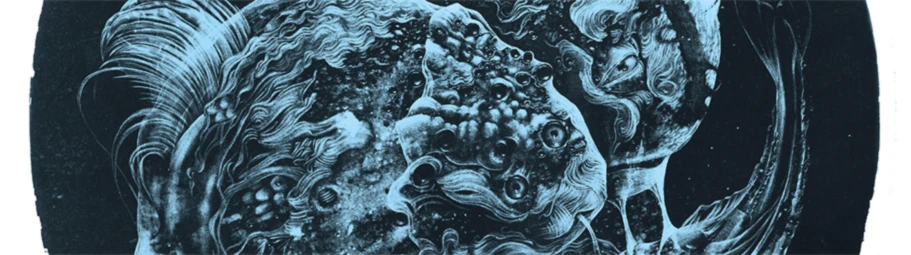 Banner image of 118018871