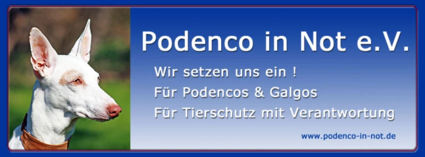 Bannerbild von Podenco in Not