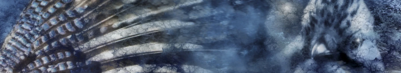 Bannière de Garrulus glandarius