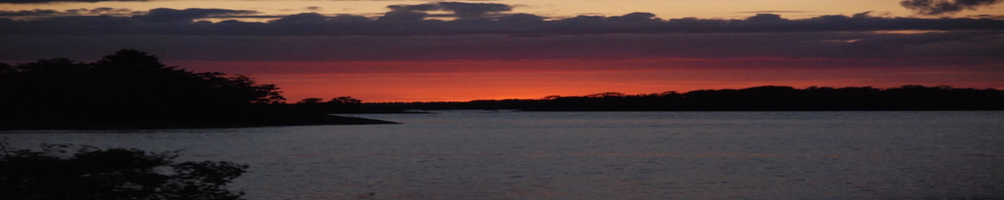 Banner image of 118071327