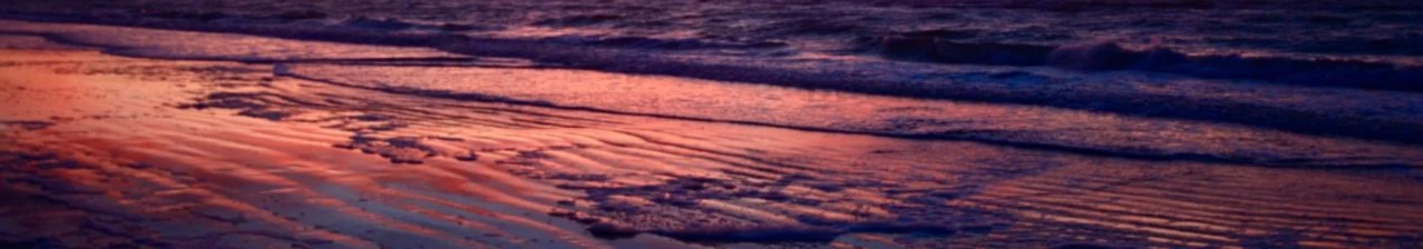 Banner image of Rudolff