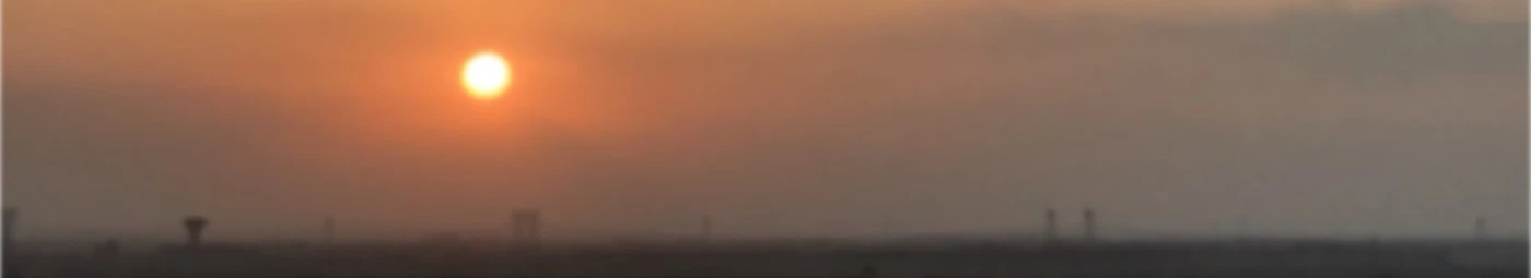 Banner image of Rema