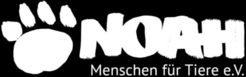 Banner image of NOAH - Shop