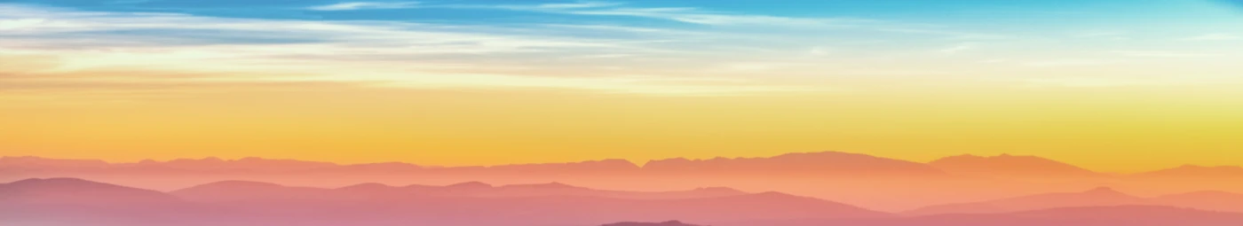 Banner image of TOP SHIRT