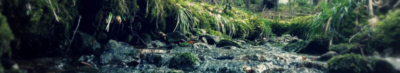 Banner image of TiCaillou