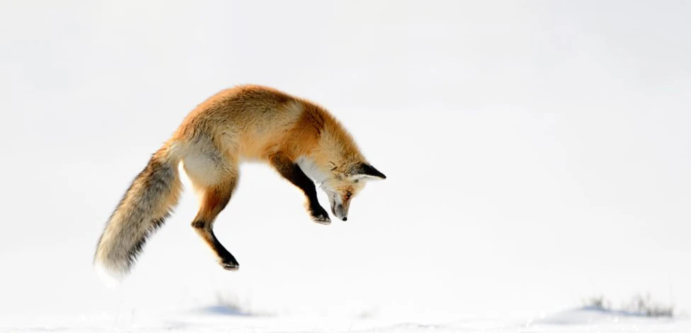 Banner image of Good Collection