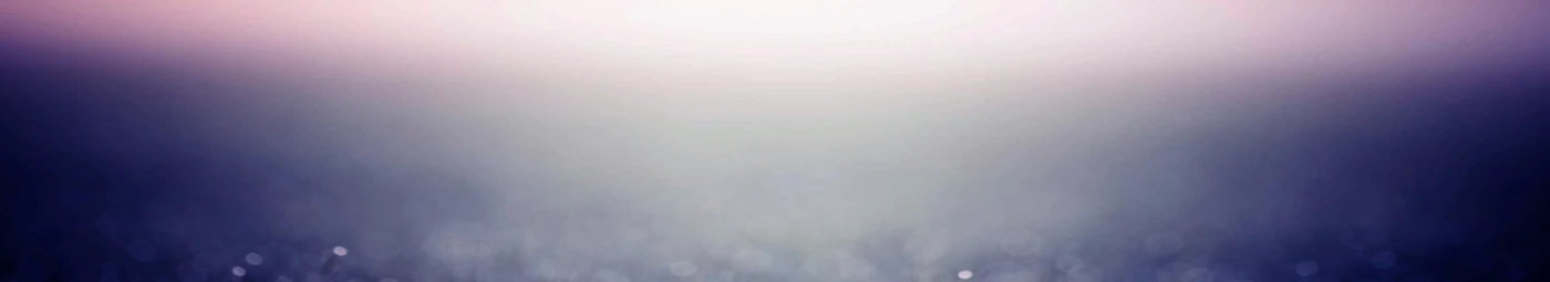 Banner image of Bungee150