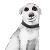 118280721