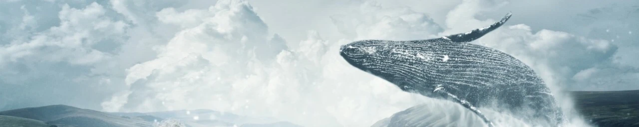 Banner image of 118280721