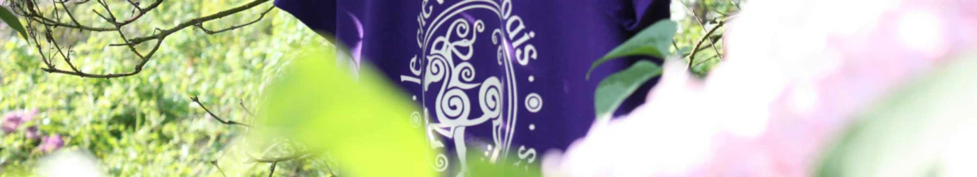 Bannerbild von Lilalune