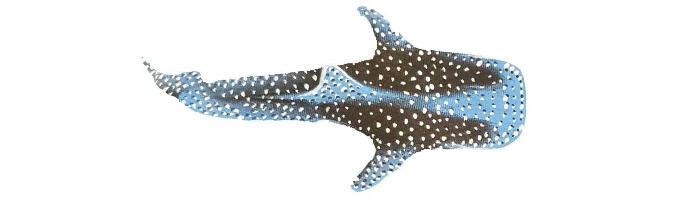 Banner image of TravelTheWorld