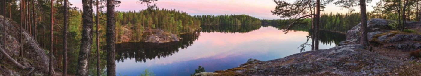 Banner image of heilimo